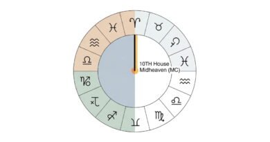 How to Read a Birth Chart for Career