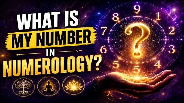 what is my number in numerology